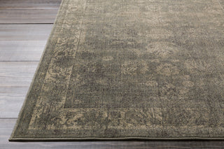 Surya Hathaway HAT-3022 Dark Brown Machine Woven Area Rug 