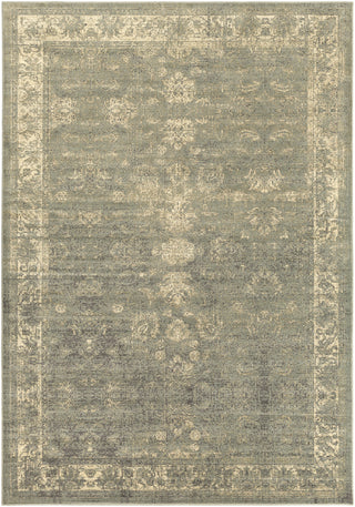 Surya Hathaway HAT-3022 Area Rug 8'10'' X 12'9''