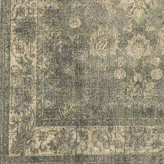 Surya Hathaway HAT-3022 Area Rug