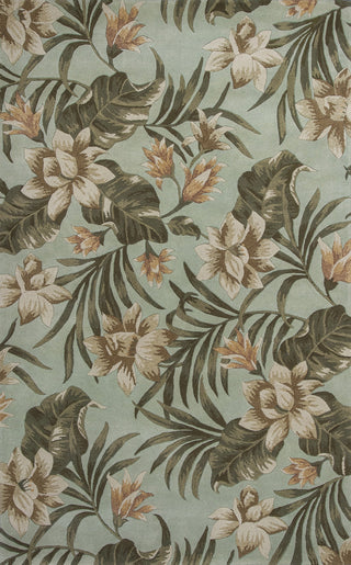 KAS Havana 2628 Seafoam Serenity Hand Tufted Area Rug