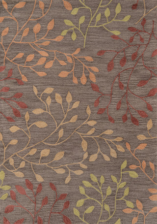 Momeni Havana HV-03 Brown Area Rug main image