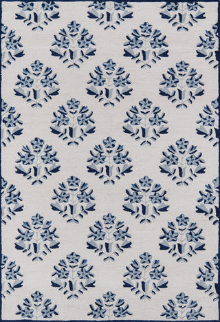 Momeni Havana HV-09 Blue Area Rug 