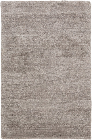 Surya Haize HAZ-6008 Gray Area Rug 2' x 3'