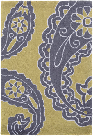 Surya Hudson Park HDP-2021 Lime Area Rug by angelo:HOME 2' x 3'