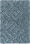 Surya Hudson Shag HDS-2302 Area Rug Main Image 