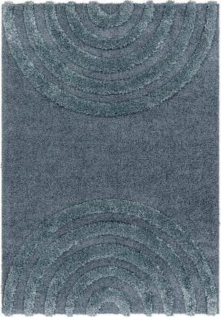 Surya Hudson Shag HDS-2305 Area Rug Main Image 