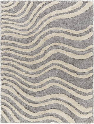 Surya Hudson Shag HDS-2307 Area Rug Main Image 