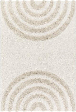 Surya Hudson Shag HDS-2308 Area Rug Main Image 