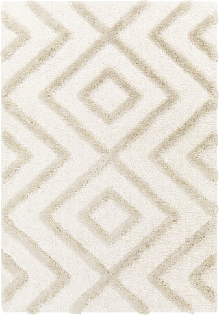 Surya Hudson Shag HDS-2309 Area Rug Main Image 