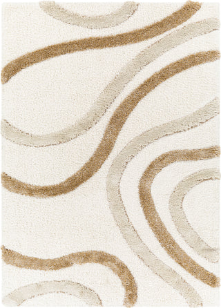 Surya Hudson Shag HDS-2311 Area Rug Main Image 