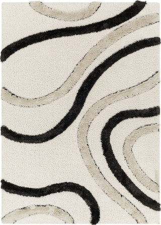 Surya Hudson Shag HDS-2312 Area Rug Main Image 