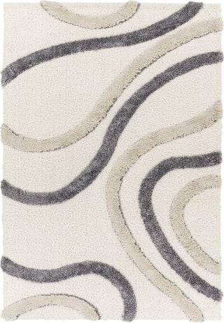 Surya Hudson Shag HDS-2313 Area Rug Main Image 