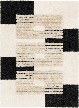 Surya Hudson shag HDS-2314 Area Rug main image