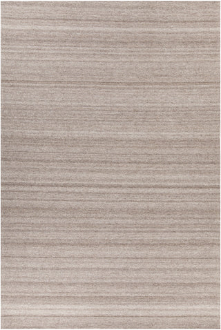 Chandra Hedonia HED-33602 Brown Area Rug main image