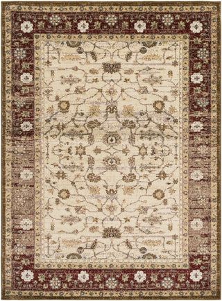 Surya Henre HEE-1000 Red/Brown Area Rug main image