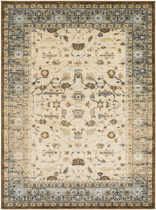 Surya Henre HEE-1001 Blue/Brown Area Rug main image