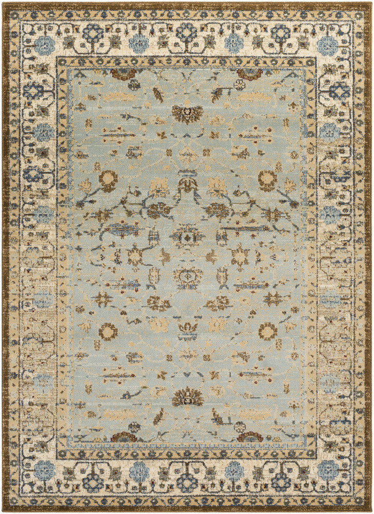 Surya Henre HEE-1002 Blue/Brown Area Rug main image