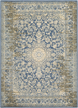 Surya Henre HEE-1007 Blue/Neutral Area Rug main image