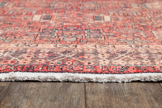 Momeni Helena HEL-6 Multi Area Rug