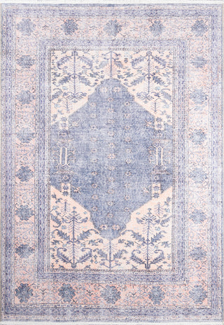 Momeni Helena HEL-7 Denim Area Rug main image