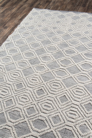 Momeni Hermosa HRM-1 Grey Area Rug Corner Image