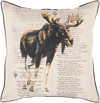 Surya Alaska Rustic Chic HH-119 Pillow