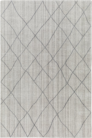 Surya Highland HHD-2300 Area Rug main image