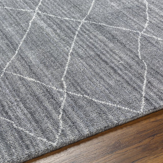 Surya Highland HHD-2301 Area Rug Detail