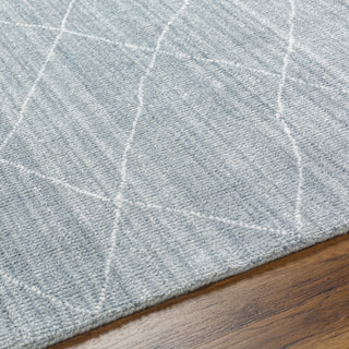 Surya Highland HHD-2302 Area Rug Detail