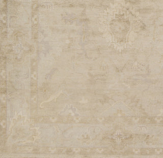 Surya Hillcrest HIL-9018 Beige Hand Knotted Area Rug Sample Swatch