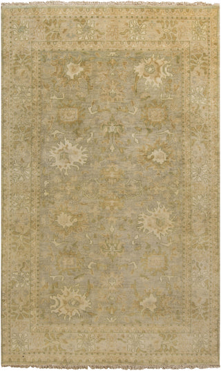 Surya Hillcrest HIL-9024 Sea Foam Area Rug 5'6'' x 8'6''