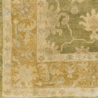 Surya Hillcrest HIL-9028 Olive Hand Knotted Area Rug Sample Swatch