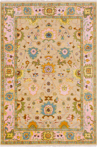 Surya Hillcrest HIL-9043 Tan Bright Pink Olive Aqua Navy Dark Brown Area Rug main image