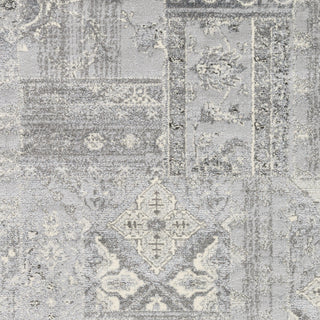 Artistic Weavers Holland Edie Light Gray/Gray Area Rug Swatch