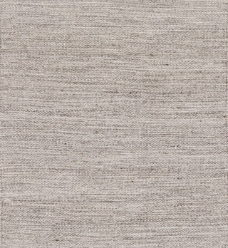 Surya Holmes HMS-5002 Area Rug Sample Swatch