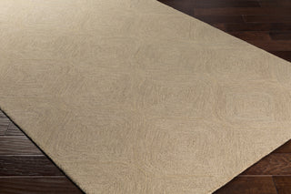 Artistic Weavers Hermitage Cooper Tan Area Rug Corner Shot