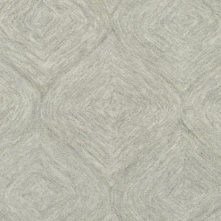 Artistic Weavers Hermitage Cooper Light Gray Area Rug Swatch