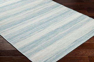 Surya Hampton HPT-2303 Area Rug Corner Shot