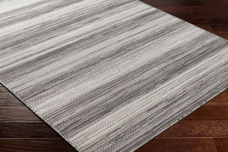 Surya Hampton HPT-2306 Area Rug Corner Shot