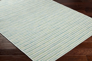 Surya Hampton HPT-2307 Area Rug Corner Shot
