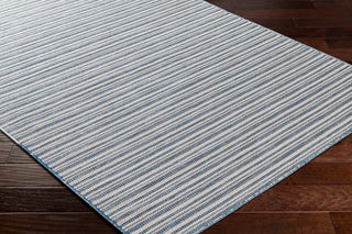 Surya Hampton HPT-2308 Area Rug Corner Shot