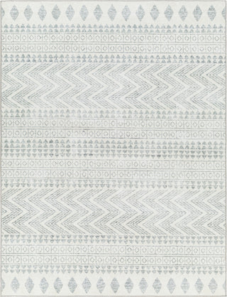 Surya Hera HRH-2300 Light Grey Area Rug main image