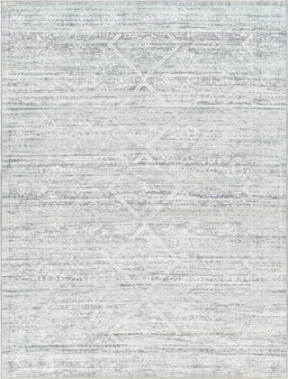 Surya Hera HRH-2302 Light Grey Area Rug main image