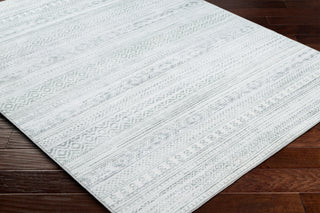 Surya Hera HRH-2303 Light Grey Area Rug Corner Shot