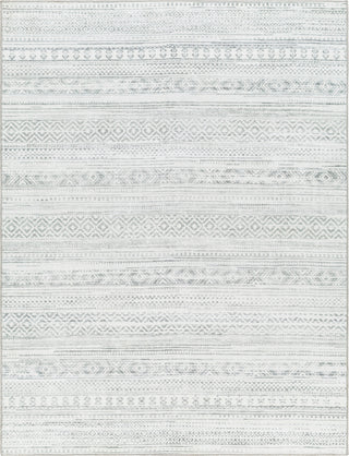 Surya Hera HRH-2303 Light Grey Area Rug main image