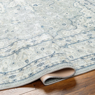 Surya Hera HRH-2309 Area Rug 