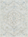 Surya Hera HRH-2310 Light Grey Area Rug main image