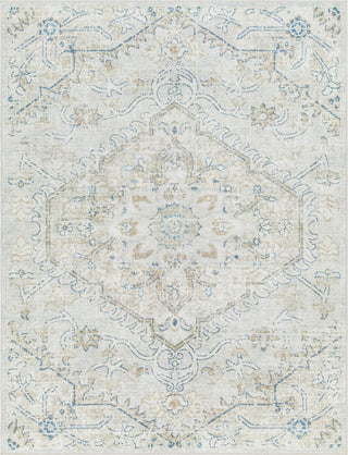 Surya Hera HRH-2310 Light Grey Area Rug main image