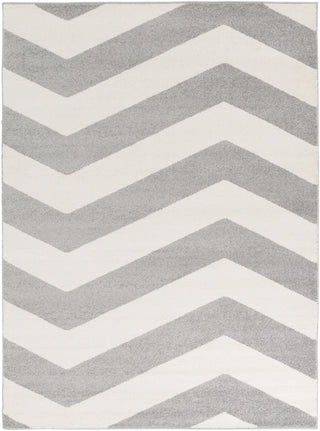 Surya Horizon HRZ-1011 Gray Area Rug 5'3'' x 7'3''