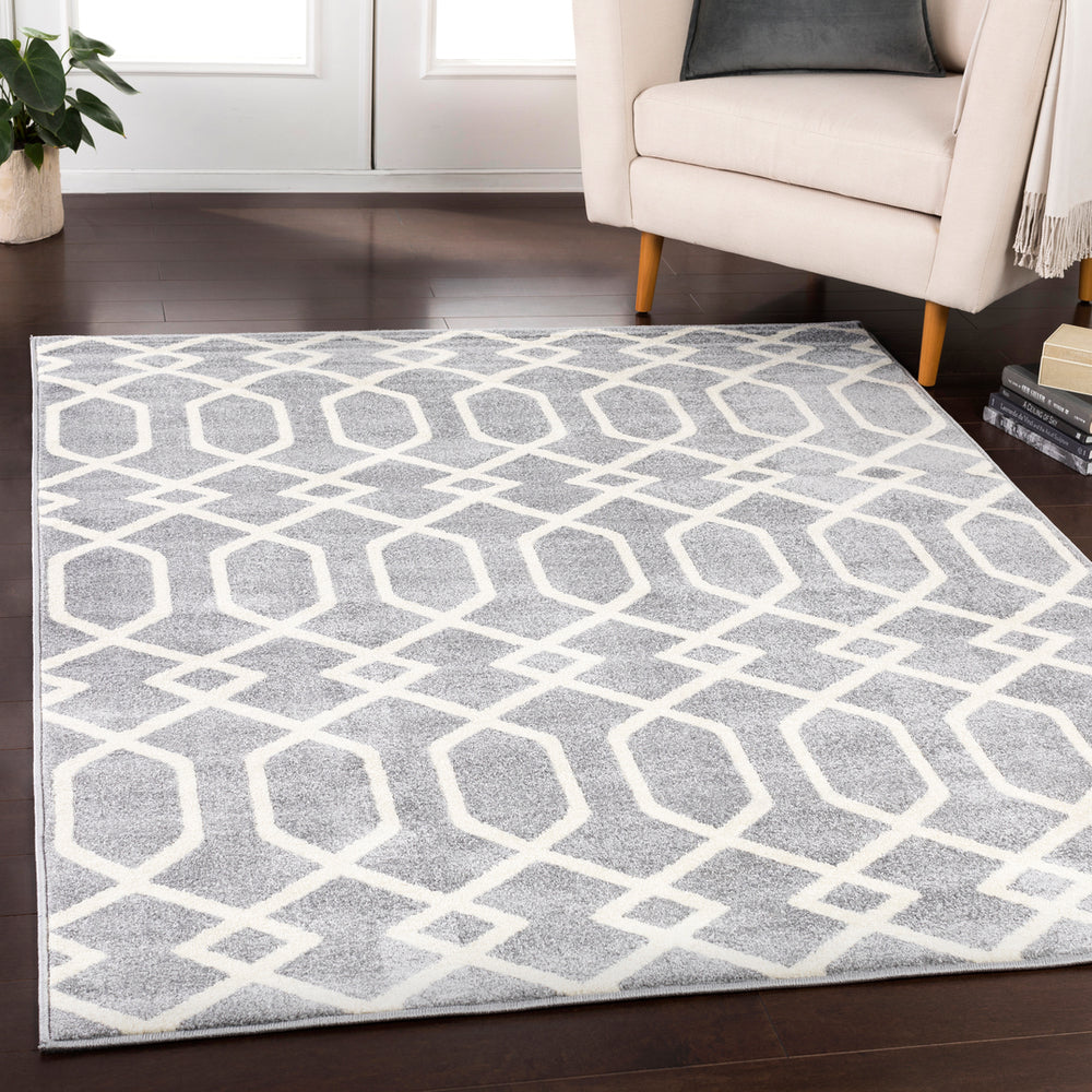 Surya Horizon HRZ-1045 Area Rug Room Scene Feature